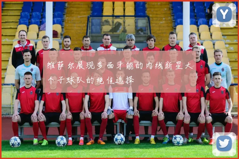 维萨尔展现多面才能的内线新星大个子球队的绝佳选择